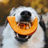 Top 3 underrated dog foods