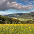 Where to go on a trip with a dog: Bíle Karpaty - Nová Lhota (18 km)