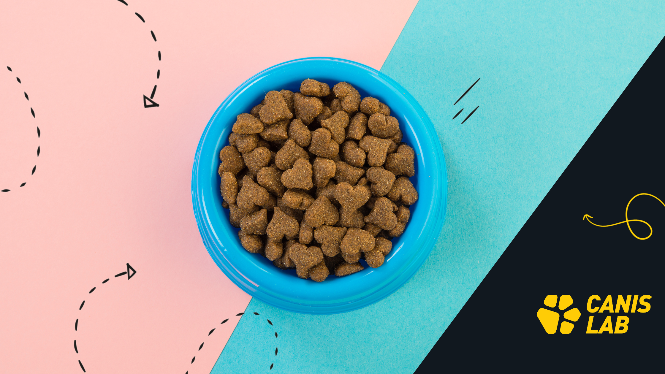 Granules alone are not enough: How to ensure maximum dog health