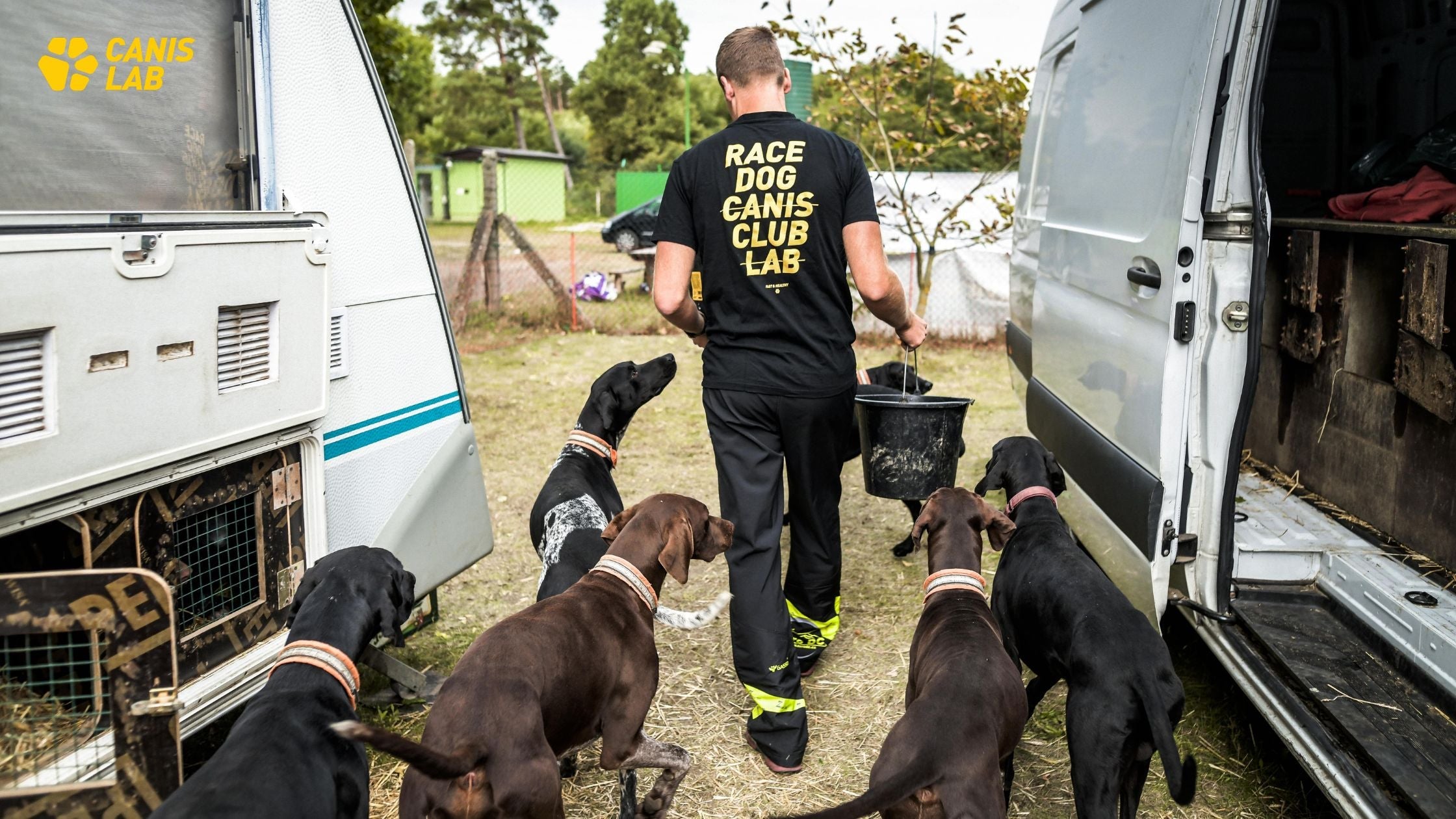 How much food does the dog need | How to calculate a dog's energy expenditure