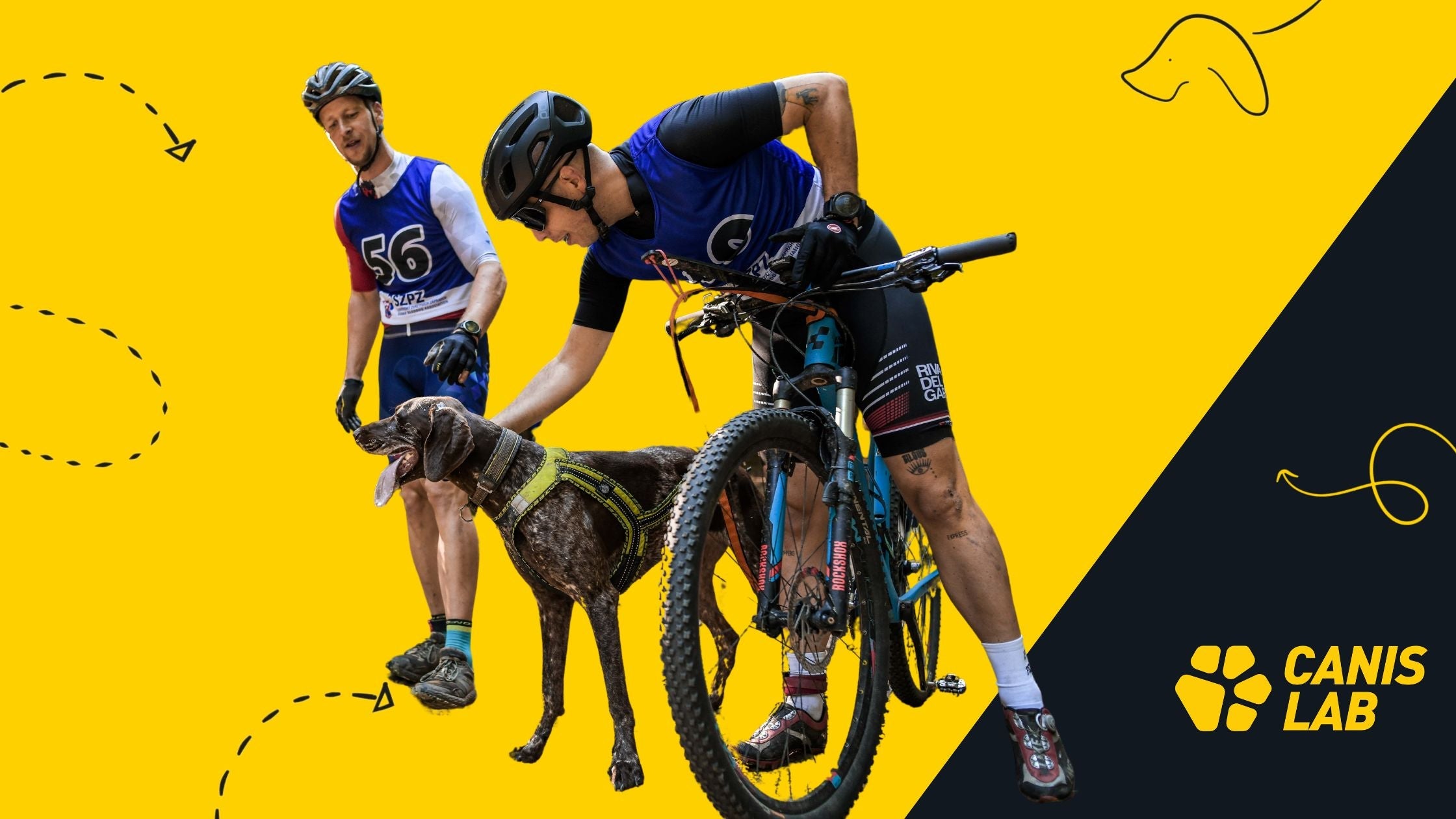 How to prepare a dog for performance | What to give a dog before sports