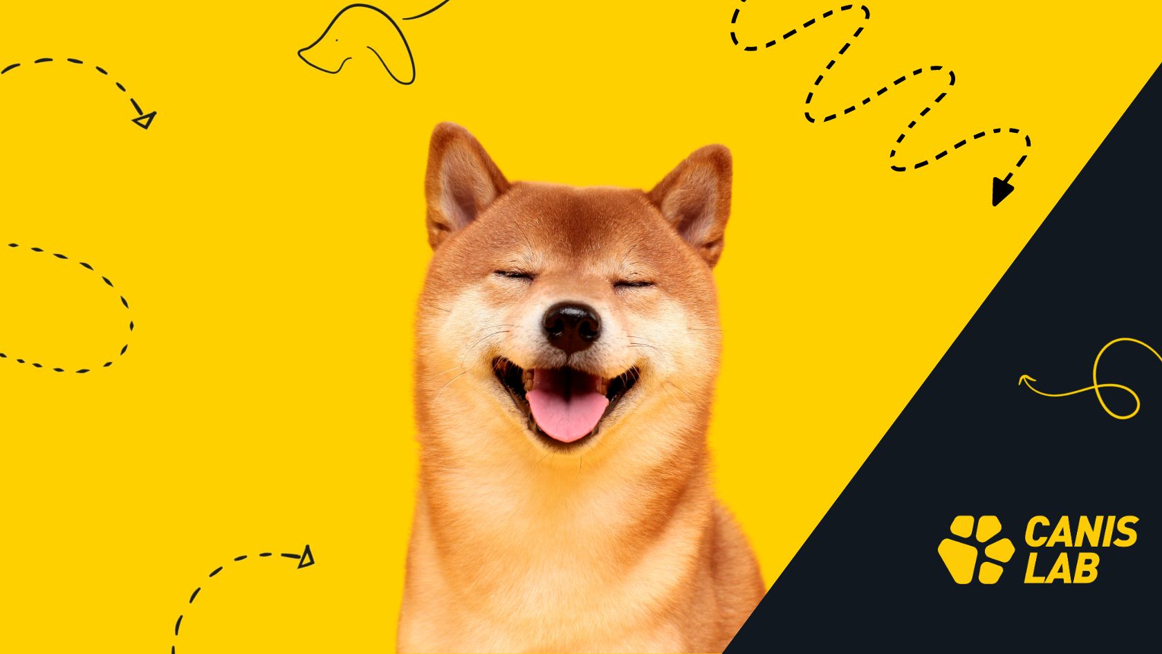 How to give your dog energy and ensure proper regeneration