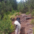 Where to go to the mountains with a dog: Krušné hory - Boží dar (12 km)