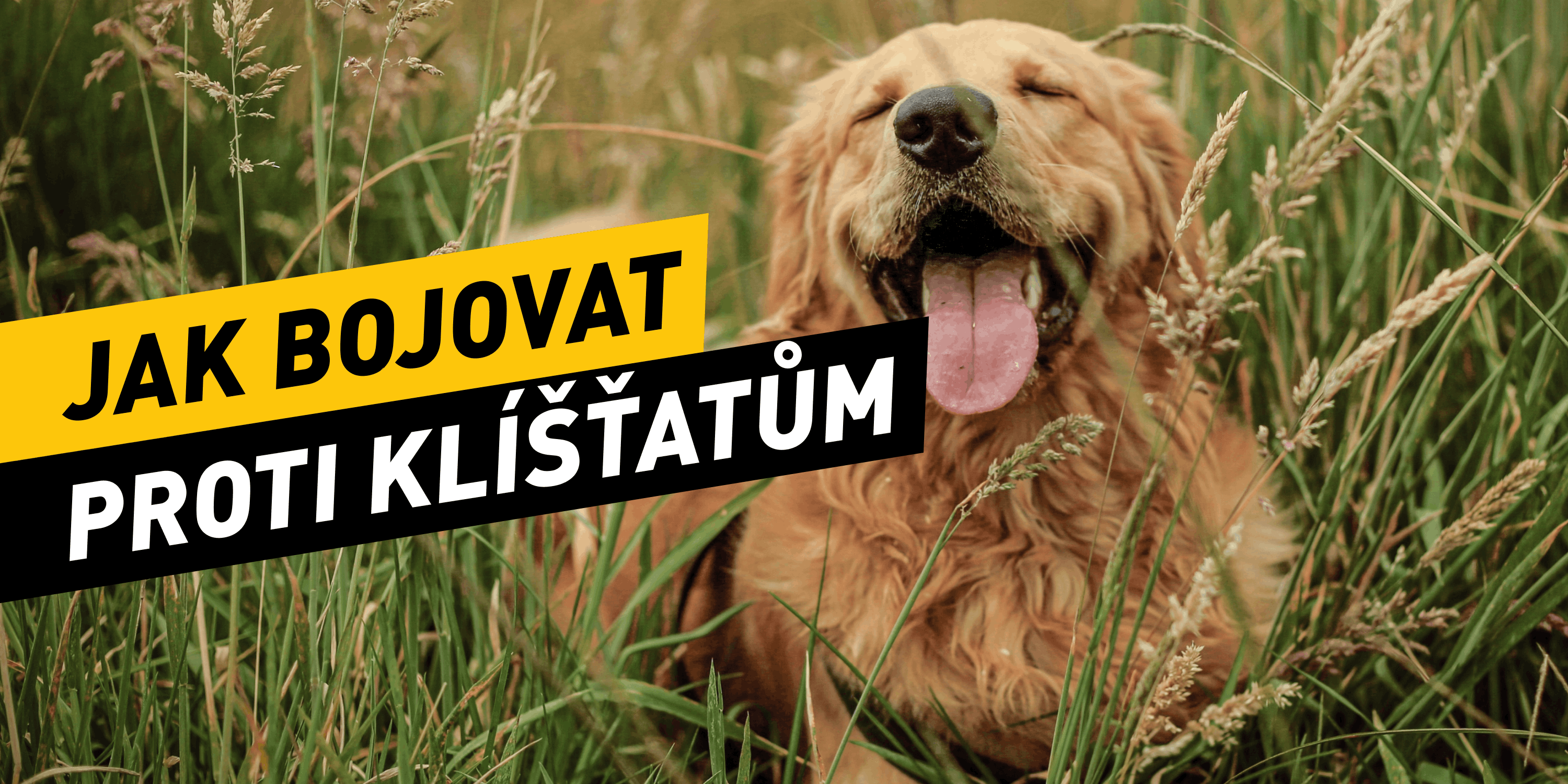 Jak bojovat proti klíšťatům
