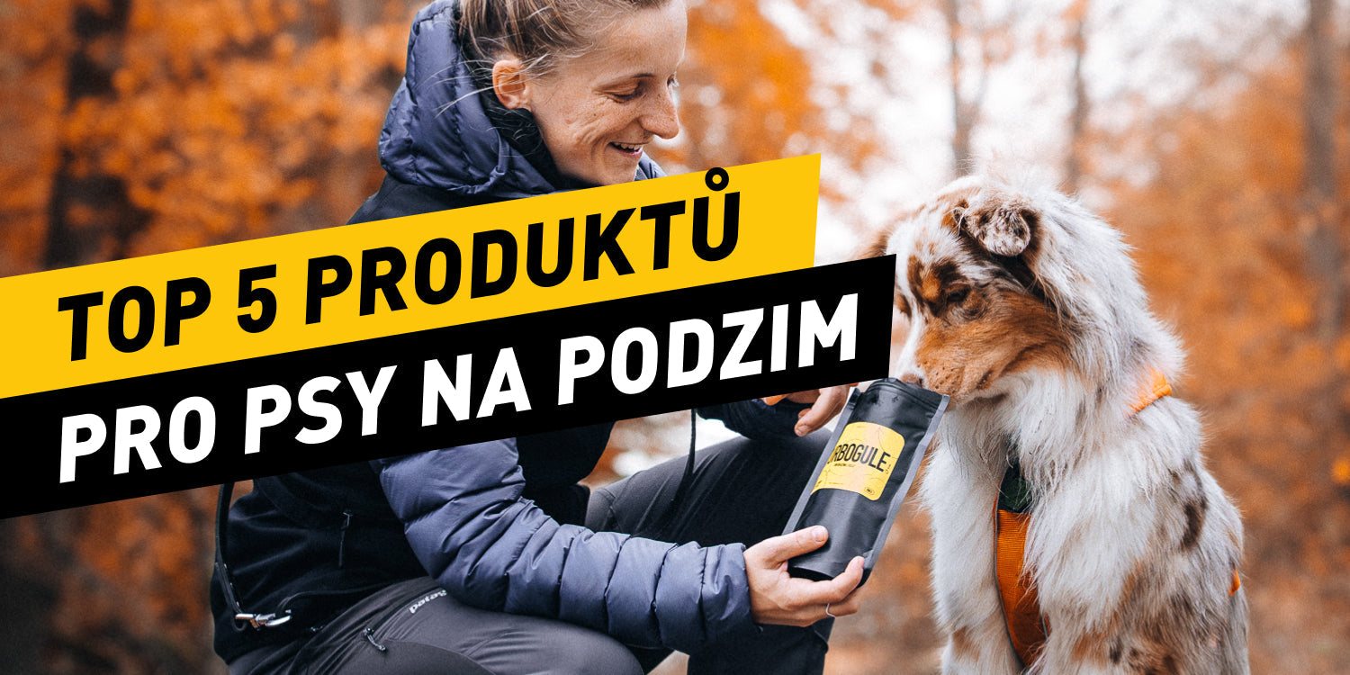5 produktů pro psy na podzim