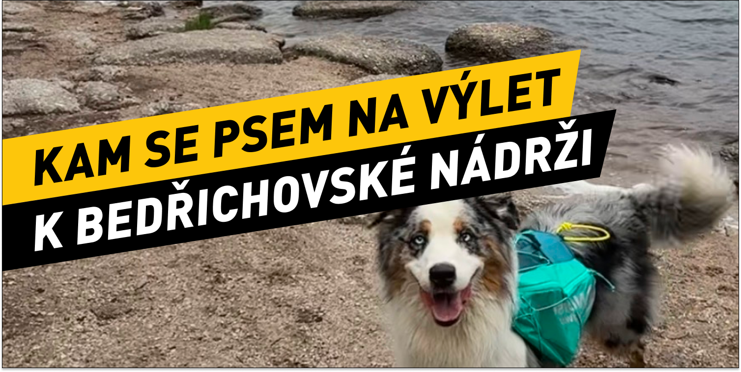 Bedřichov Reservoir: A peaceful Jizera Mountains escape with views and swimming for adventurous dogs