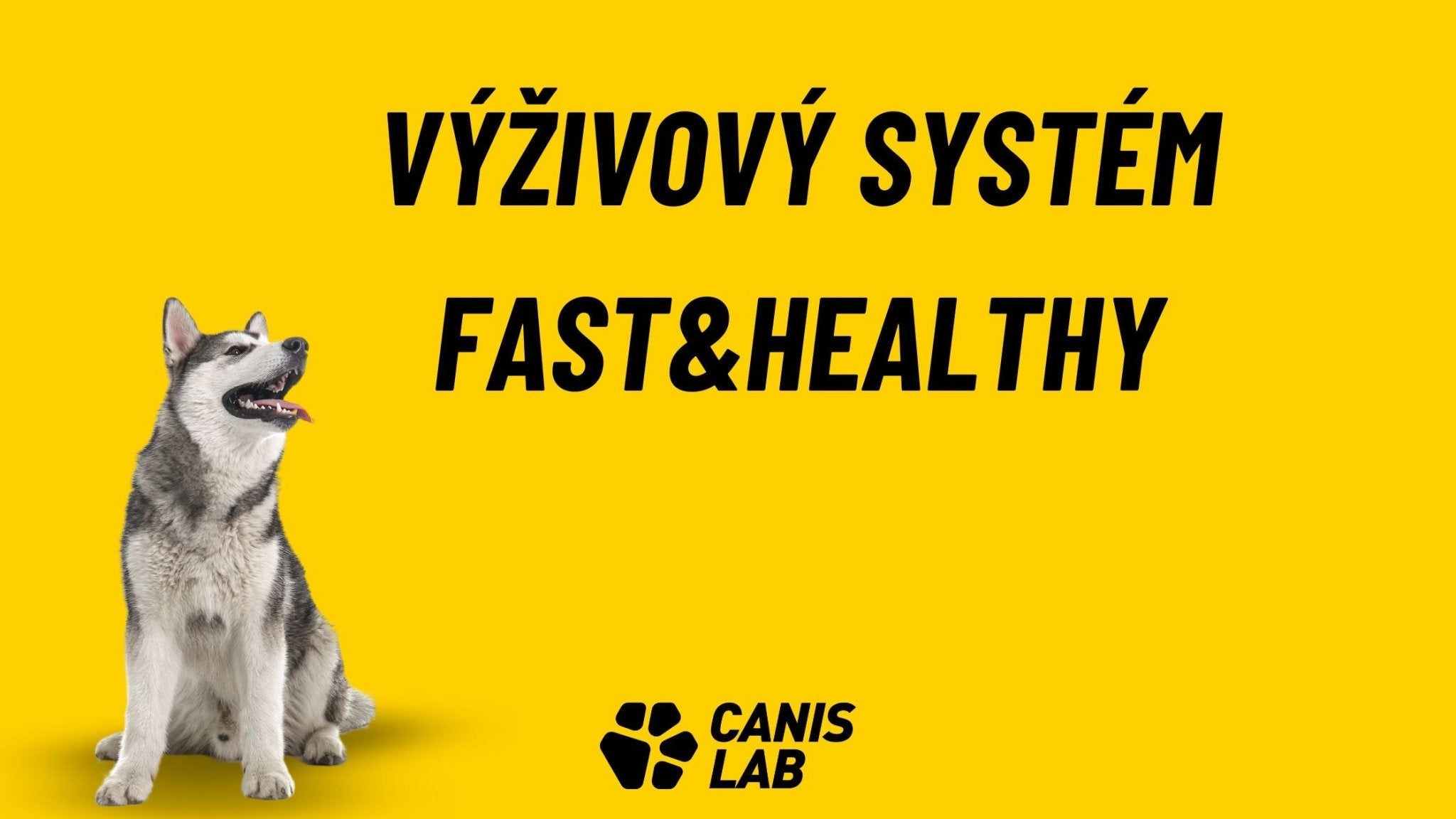 Fast&Healthy | Nutritional system for sports dogs