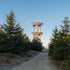 Where to go on a trip with a dog: Jizerské hory - northern part (28 km)