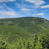 Where to go on a trip with a dog: Krkonoše - Špindl - Buda Bílé Labe (13 km)