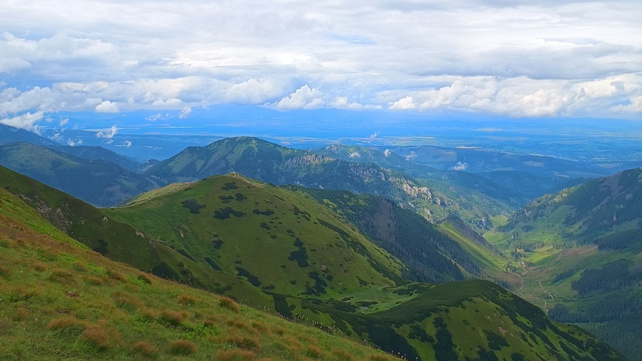 Where to go on a trip with a dog: Western Tatras - Račkové plesá (25 km)