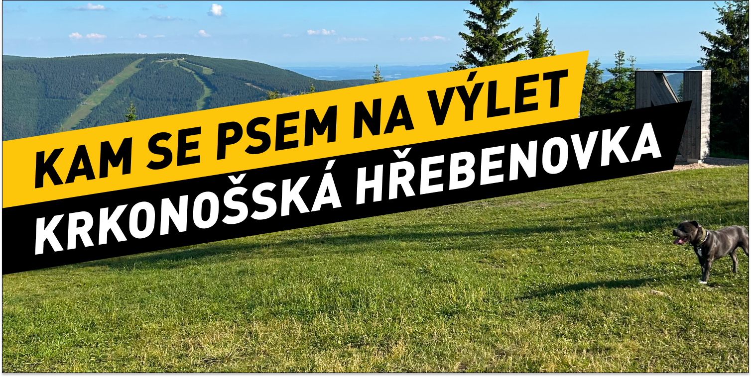 Krkonošská hřebenovka se psem: Z Medvědína k Pančavskému vodopádu