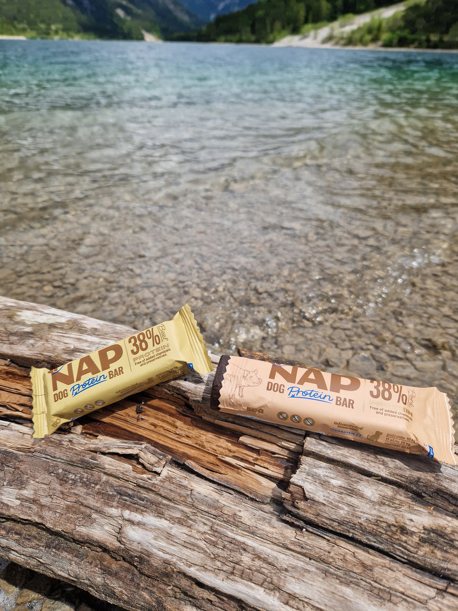NAP protein bar for dogs | Healthy snack | Multiple varieties