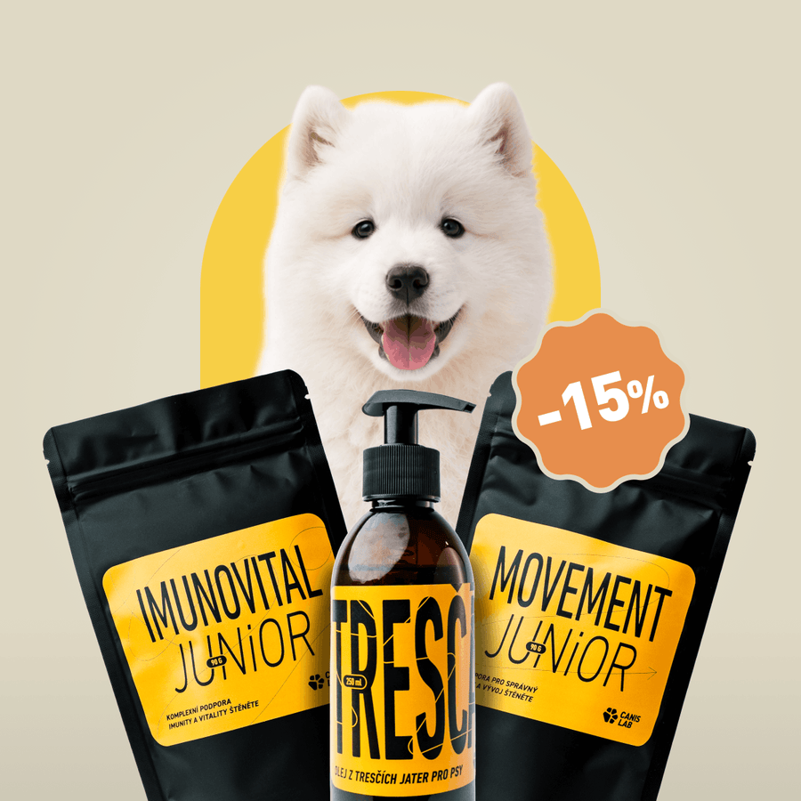 Puppy Starter pack | Value Bundle