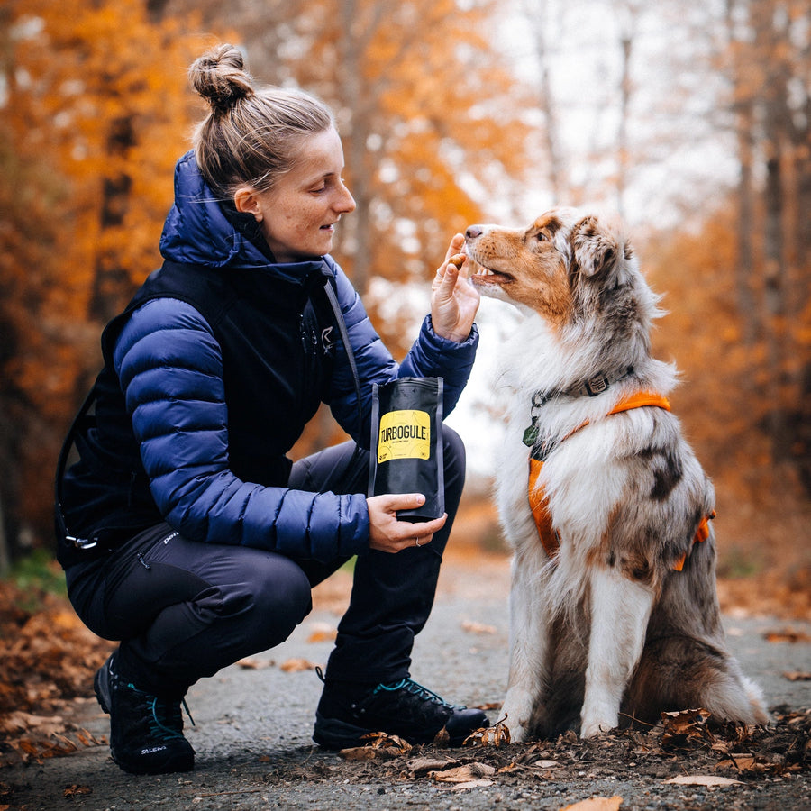 Dog owner, a girl, holding Turbogule dog treat in front of her Australian Shepherd dog