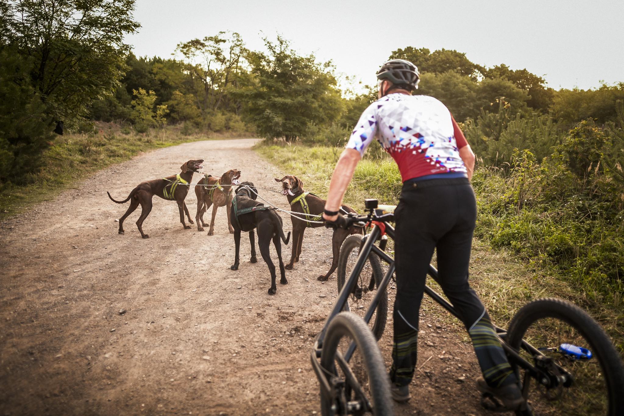 Czechs and Slovaks at the top of the world in dog sports