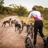 Czechs and Slovaks at the top of the world in dog sports