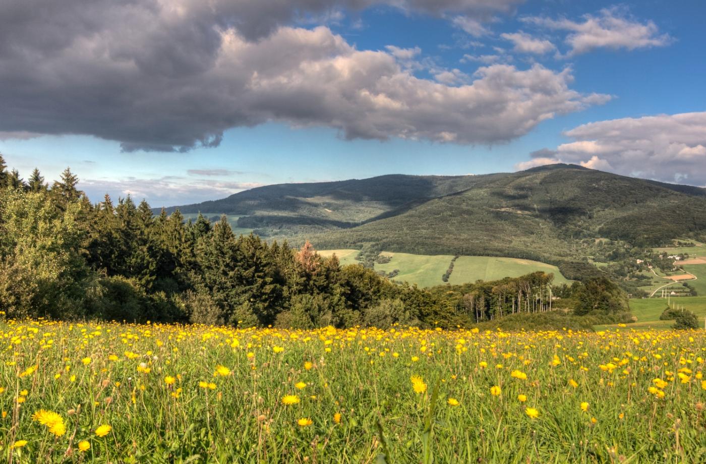 Where to go on a trip with a dog: Bíle Karpaty - Nová Lhota (18 km)