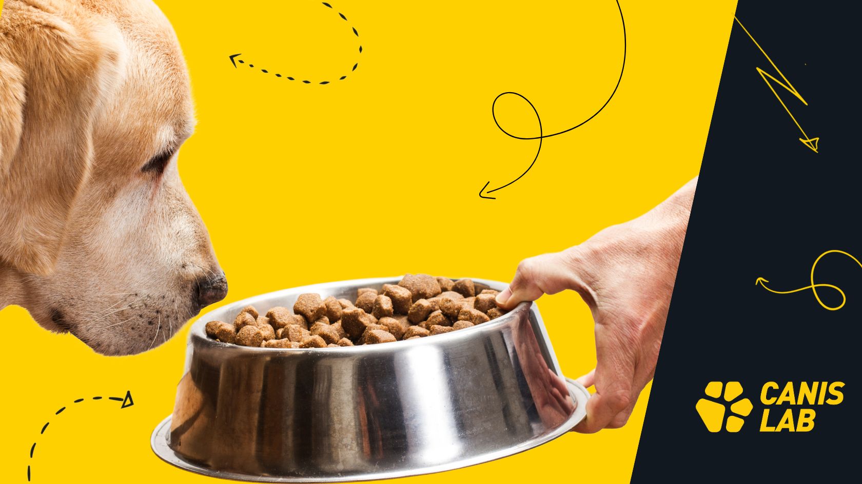 How to improve dog kibble: add the right food supplements