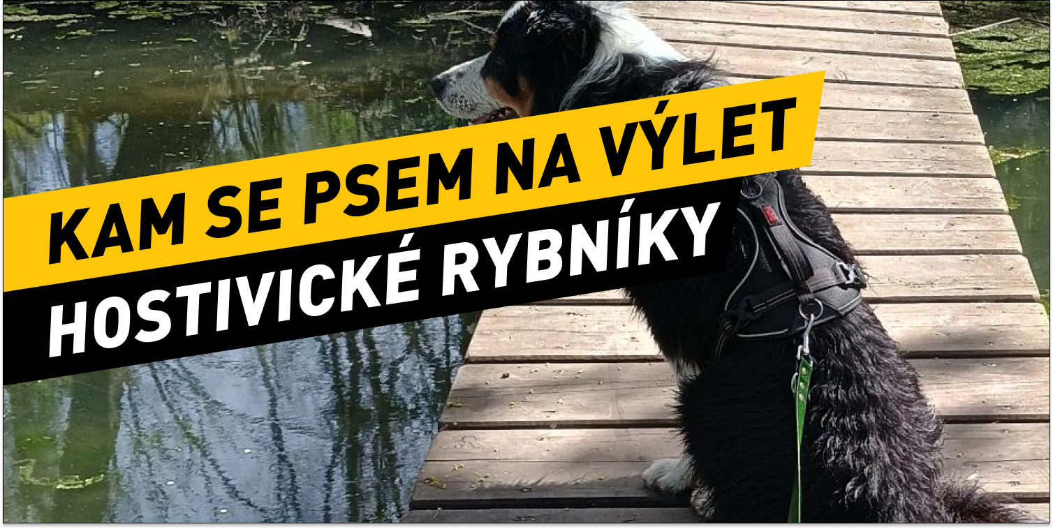 Kam se psem na výlet kousek od Prahy: Okolo Hostivických rybníků