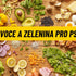 What fruits and vegetables can a dog eat?
