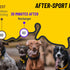 How to support the regeneration of a dog | What to give a dog after sports