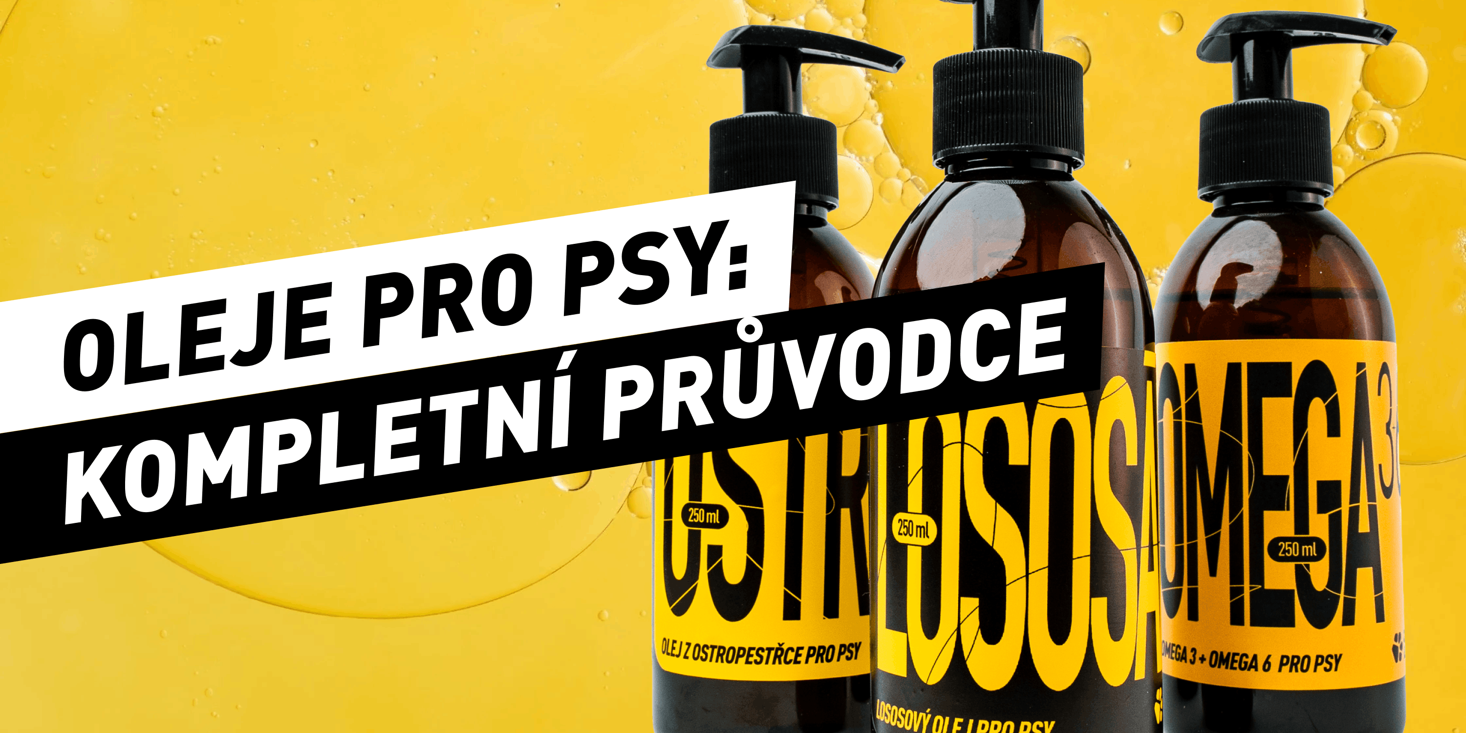 How to Know Your Way Around Oils for Dogs: The Complete Guide
