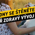 První dny se štěnětem: Jak zvládnout adaptaci a podpořit zdravý vývoj od prvního dne
