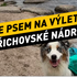 Bedřichov Reservoir: A peaceful Jizera Mountains escape with views and swimming for adventurous dogs