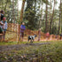 Canicross | Run With Your Dog