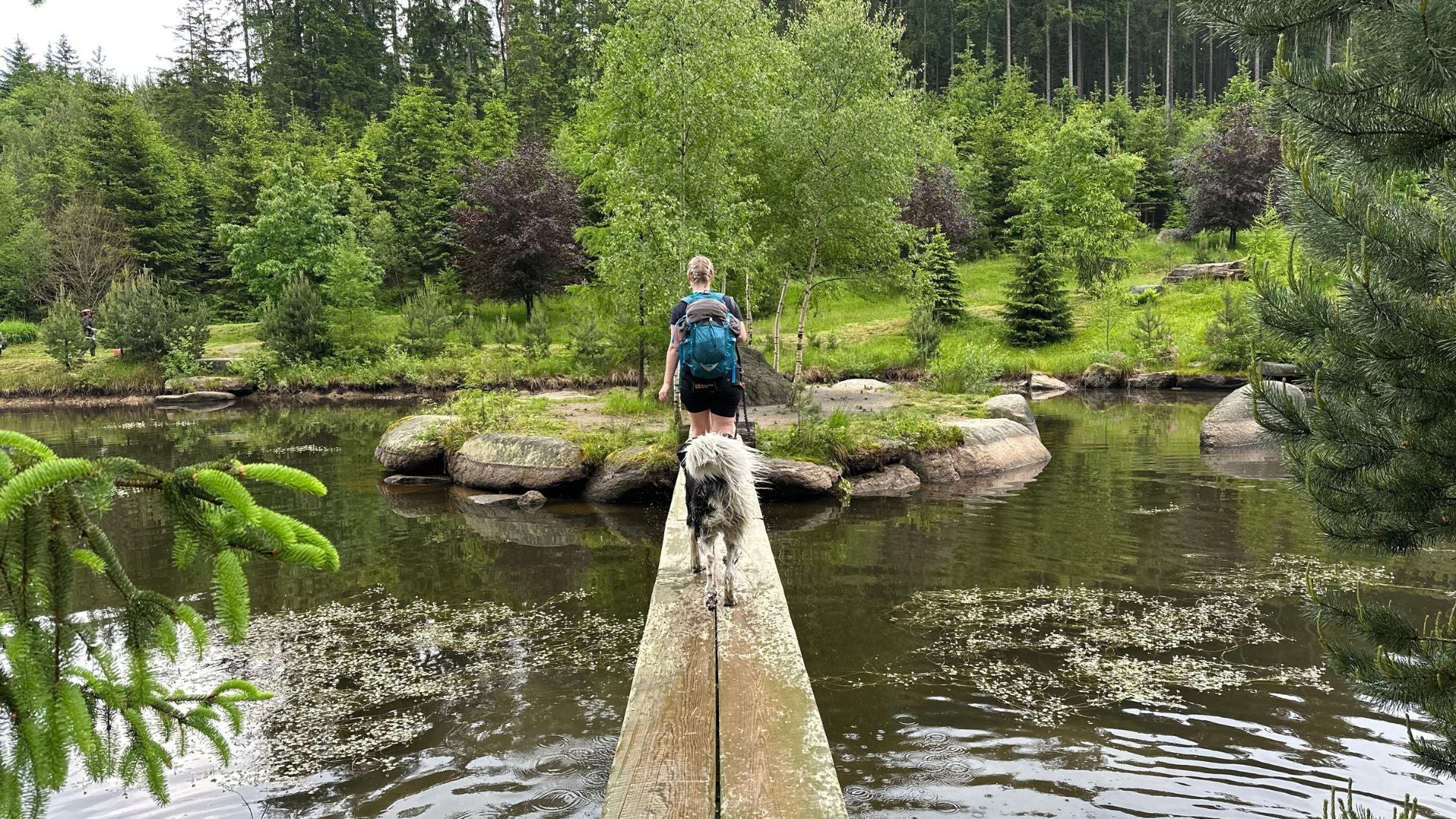 Wohin mit Hund reisen: Tschechisches Kanada (22 km)