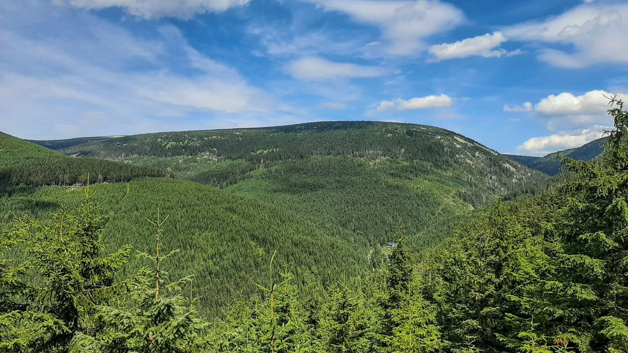 Where to go on a trip with a dog: Krkonoše - Špindl - Buda Bílé Labe (13 km)