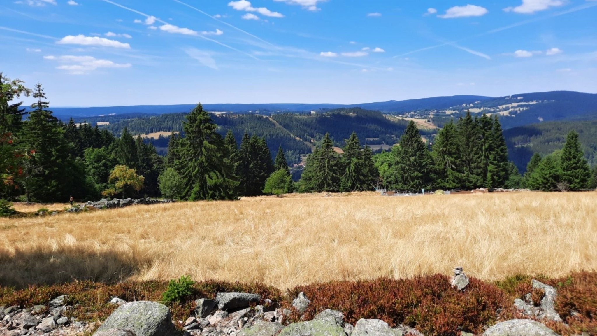 Ausflugsziele mit Hund: Erzgebirge (11 km)