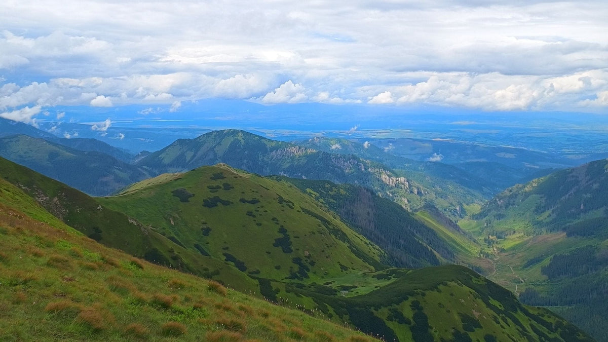 Where to go on a trip with a dog: Western Tatras - Račkové plesá (25 k ...