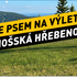 Krkonošská hřebenovka se psem: Z Medvědína k Pančavskému vodopádu
