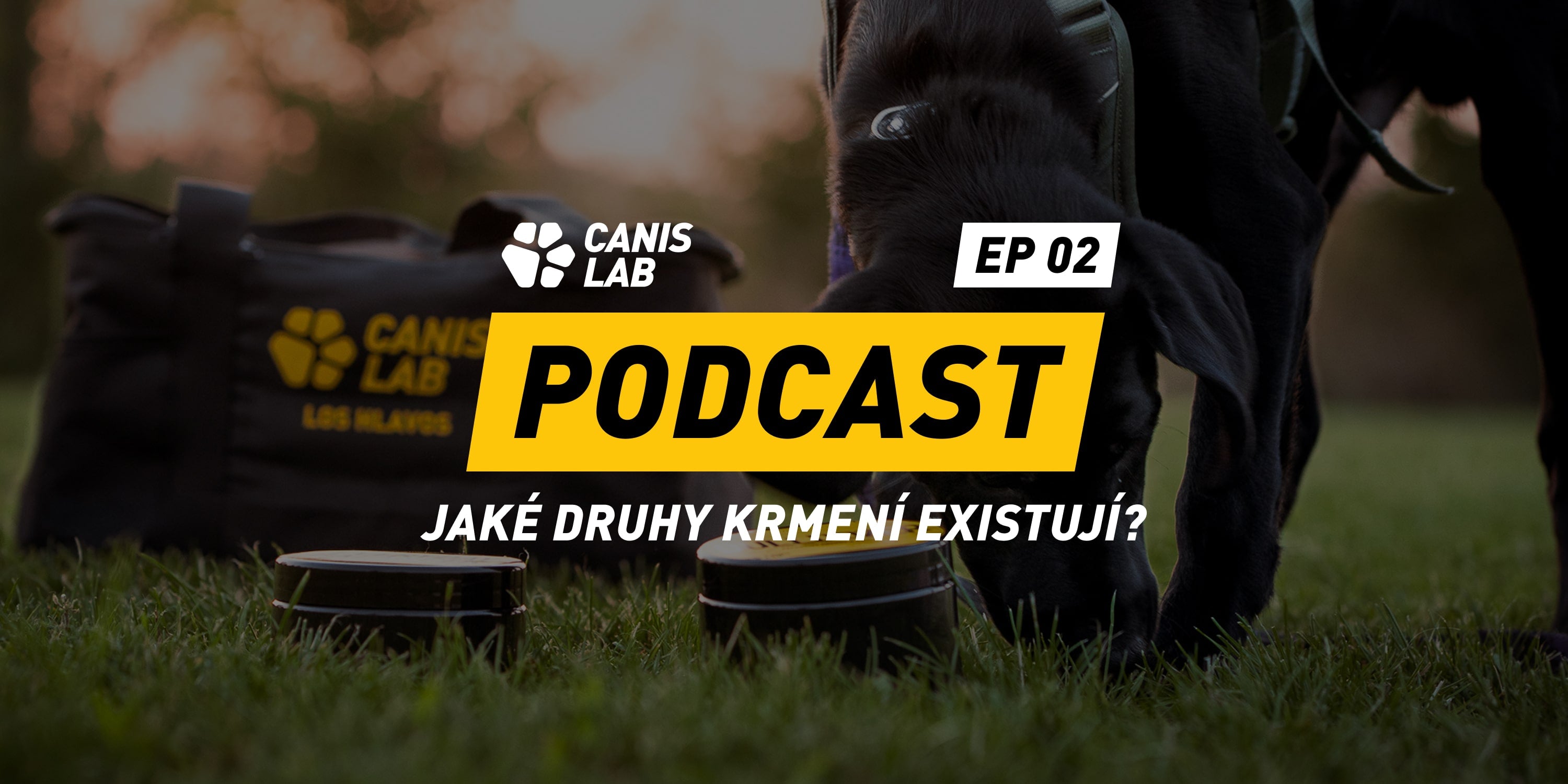 Canis Lab Podcast (ep. 2) | Jaké druhy krmení existují
