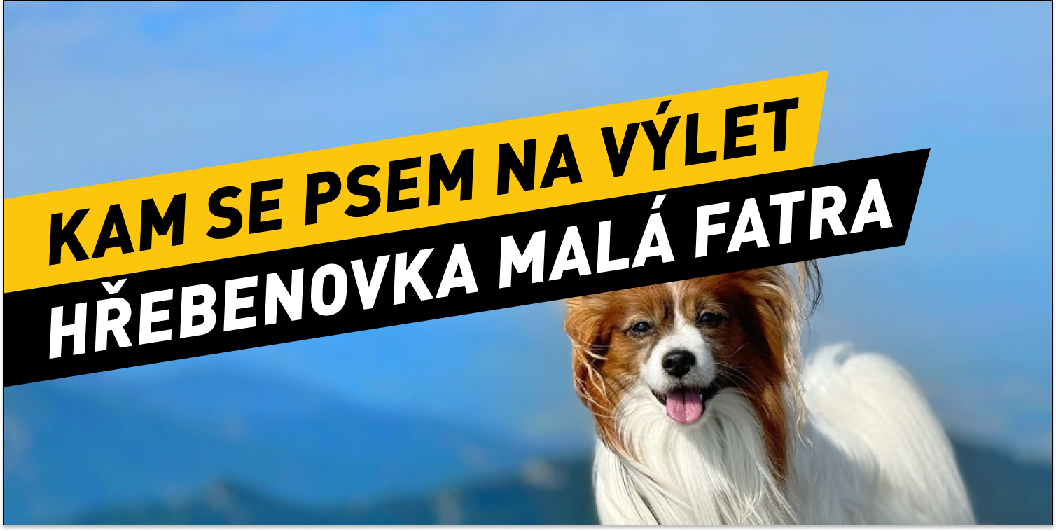 kam se psem na výlet: Hřebenovka Malé Fatry