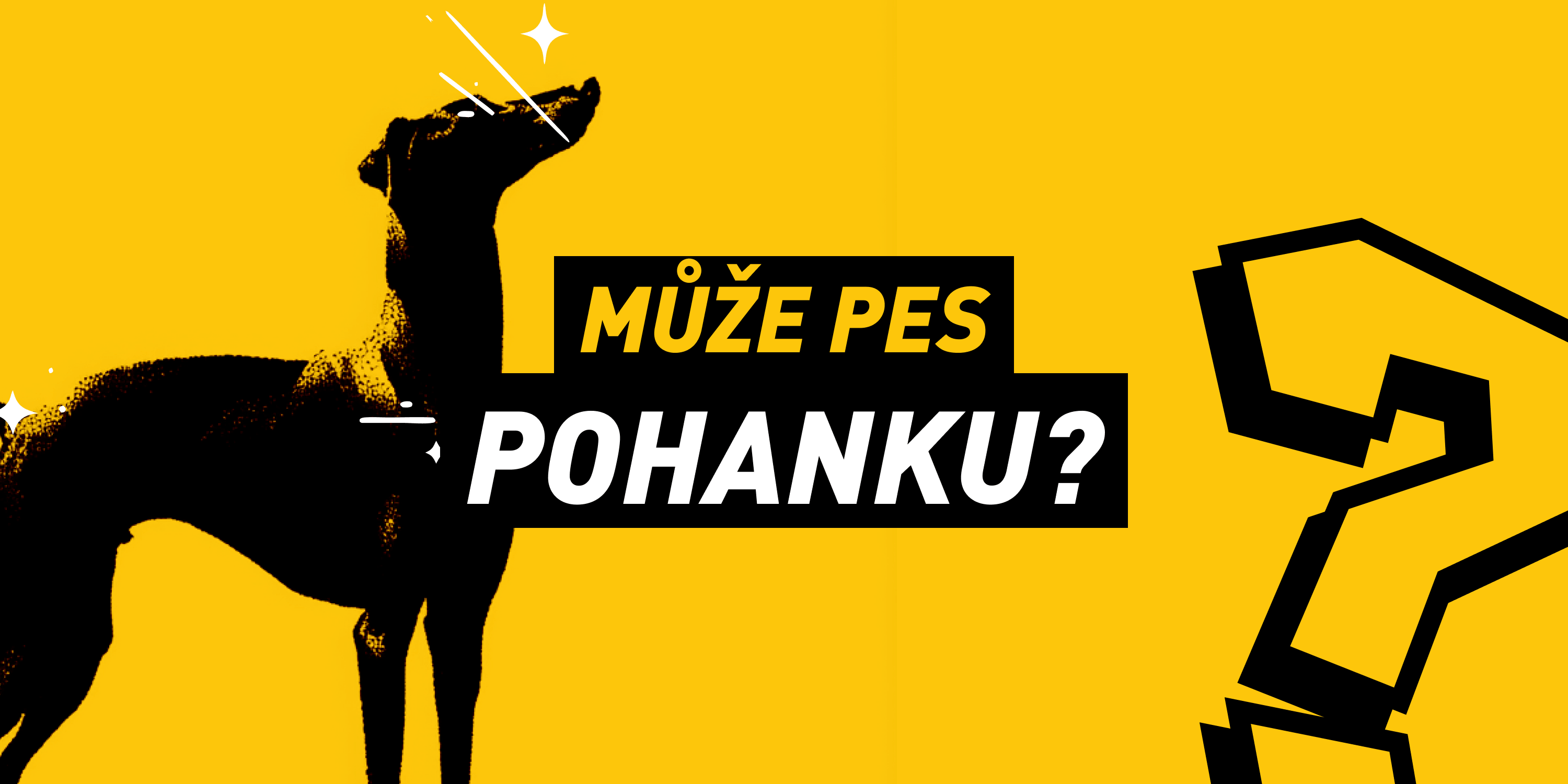 Může pes pohanku? Superpotravina, nebo jen drahá výplň misky?