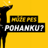 Může pes pohanku? Superpotravina, nebo jen drahá výplň misky?