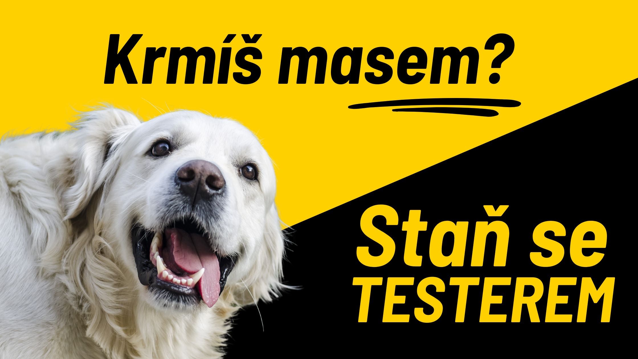 Neues Trockenbarfen: Tester werden!