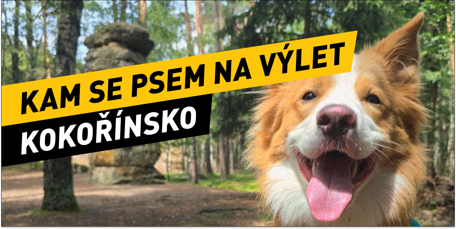 Kam se psem na výlet - Kokořínská Čertova stezka
