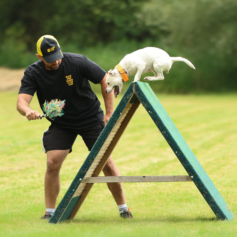 Bulldozer | Energy, explosiveness and strength | For bull sports