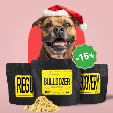 Balíček pro BULL sporty | Výhodné balení