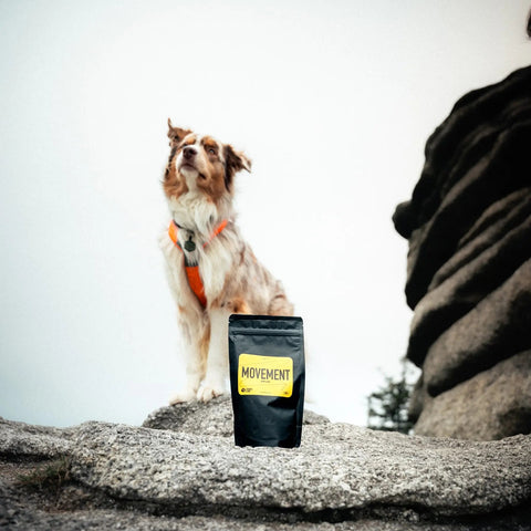 Movement | Intensive Joint Supplement For Dogs