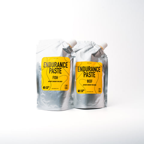 Endurance Paste | Endless energy for dogs