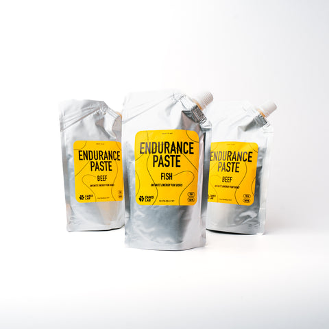 Endurance Paste | Endless energy for dogs