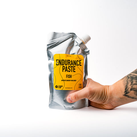 Endurance Paste | Endless energy for dogs