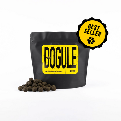 DOGULE | Dog Treats