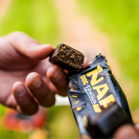 Proteinová tyčinka pro psy NAP | Recovery