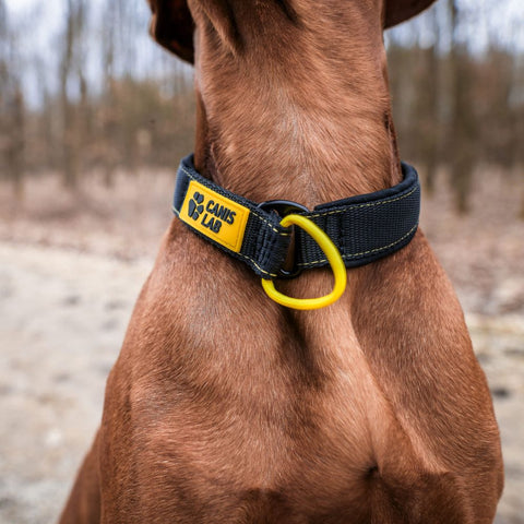 Halsband für Hunde | Slider-Komfort | Halbversenkbar