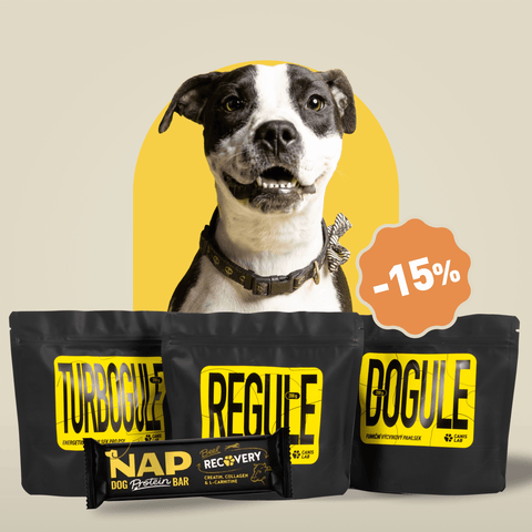 Balíček pamlsků | Výhodné balení